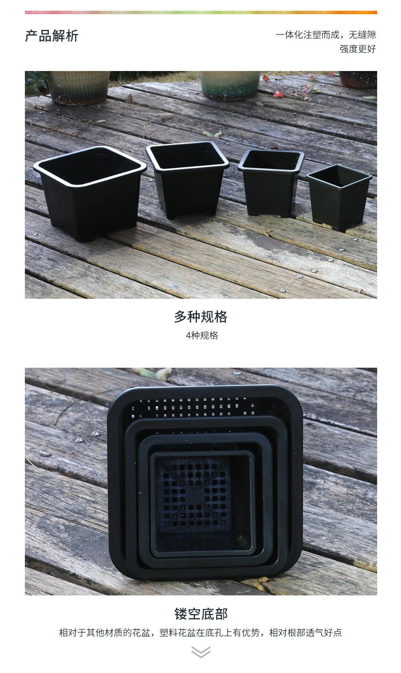景天盆+托盘详情_05.jpg