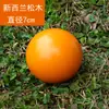 Juego de Gateball Bola Sólida de Madera de 7 cm Bola Redonda Grande Bloques de Construcción Juguete de Madera Pintado a Mano Adorno Artesanía