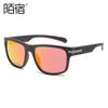 Gafas de Sol Deportivas TR2212 Gafas de Sol Polarizadas de Moda para Conducir Pesca Sombrilla Exterior Protector Solar Coloridas Stray Stay en Europa y América