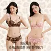 Ropa interior nueva para mujer con estampado de leopardo, busto pequeño, push-up, soporte lateral, anti-caída, sexy, escote en V profundo, sin varillas, cómoda, sin costuras, espalda hermosa