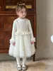 Vestido de tul con tirantes y manga larga de lentejuelas para niña, nuevo estilo otoño e invierno, elaborado vestido de malla abullonado estilo pastel, tendencia transfronteriza