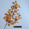 Hojas de Haya Simuladas de Rama Única para Té, Hojas de Otoño, Flores de Seda, Decoración de Arreglo Floral Retro, Accesorios DIY, Paisajismo de Jardín
