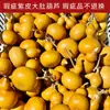 [barato] texto de defecto natural juego calabaza piel morada boca de Tianjin alrededor del dedo suave mango de calabaza pequeño fabricantes al por mayor
