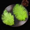 Accesorios de ropa de plumas de avestruz de colores materiales de decoración de bodas accesorios de plumas hechos a mano DIY decoración del hogar