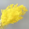 Flor eterna esponjosa pino de Navidad decoración del hogar con flores ramo de flores flotantes DIY con materiales fabricantes de Yunnan al por mayor