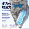 Comida para Gatos Adultos Aolong Aowei Kang: Para la Salud Intestinal, Renal, Urinaria y Bucal - Una Dieta Completa y Equilibrada para Gatos Mayores