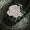 Acessórios de Flor de Sapato de Cristal Resistentes Estilo Coreano com Lantejoulas Bordadas, Franjas de Cristal Exquisite de Estilo Leve de Luxo