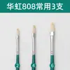 Pincel de Cerdas para Tinta a Óleo Hwahong Huahong Coreano Importado Leque 205 Caneta Leque 808 Avelã Profissional Acrílico Giz de Cera