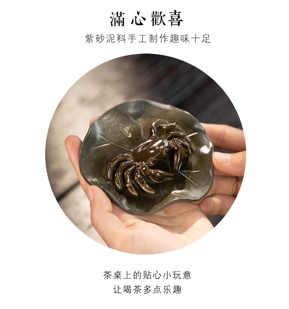 变色螃蟹20230516 (32).jpg