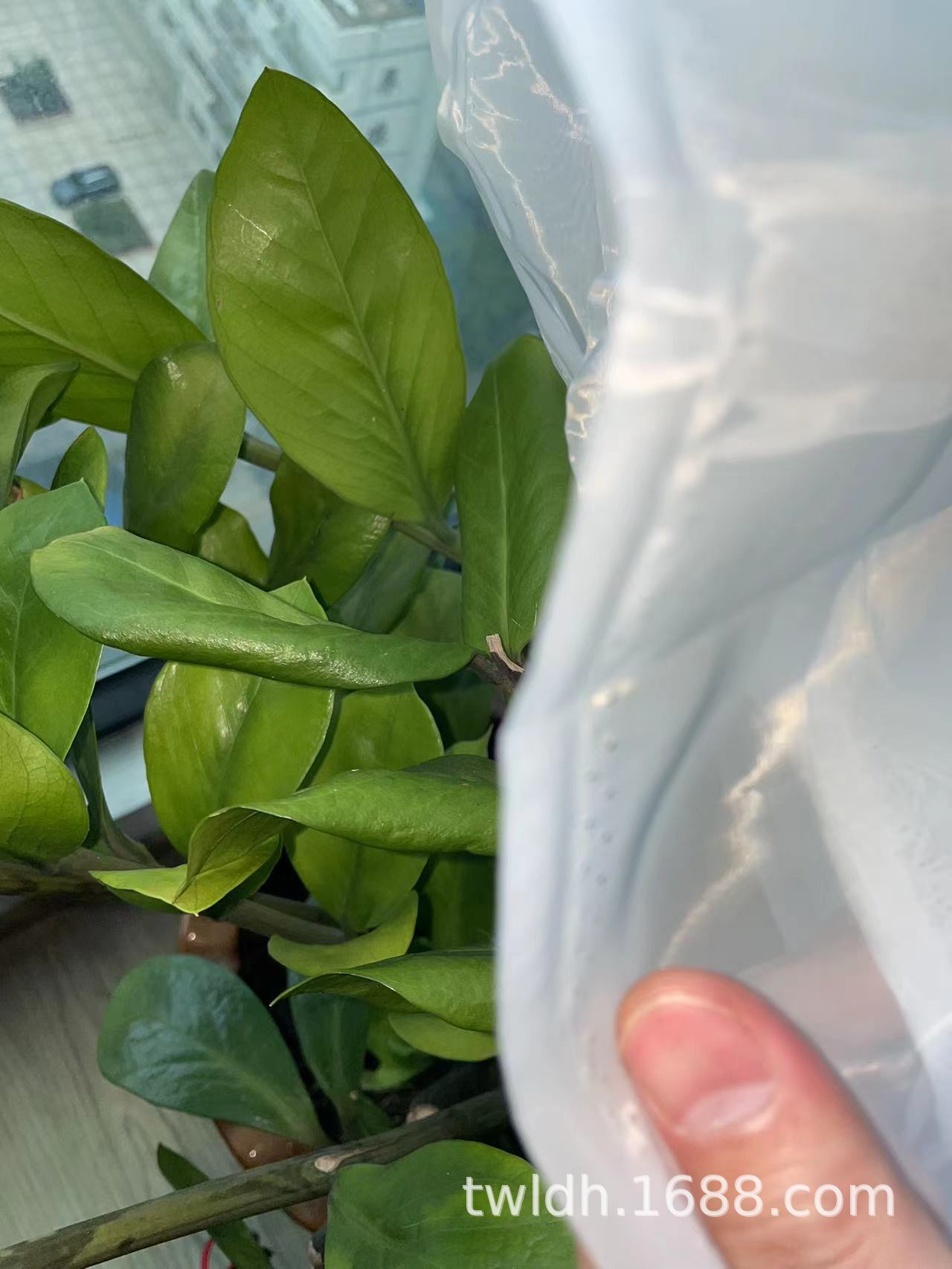 微信图片_20240131154322