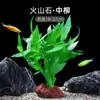 Plantas de Acuario, Decoraciones de Paisajismo con Césped Real, Plantas Aptas para Principiantes, Crisantemo Verde Ciempiés, Plantas de Sombra, Piedra Volcánica, Plantas Verdes Purificadoras de Agua