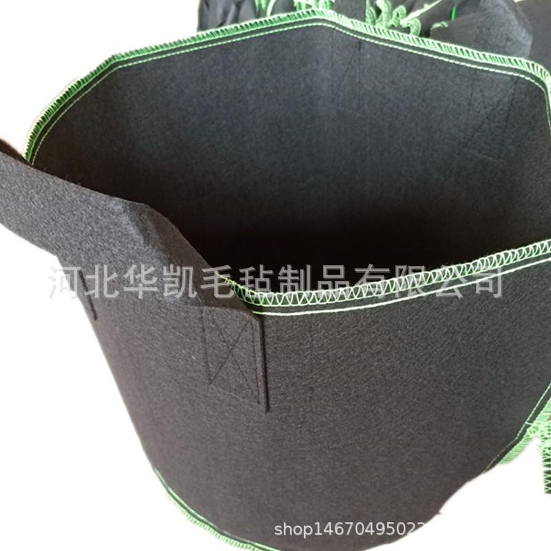 IMG20190604091933_副本