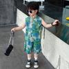 Terno de Verão para Meninos 2025 Novo Estilo Bonito Moderno Legal Infantil Pequeno e Médio Colete Fino de Verão Roupas Sem Mangas para Bebê