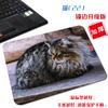 [Una generación de cabello] pequeño lindo gato tela antideslizante tapete para computadora arte estético simple borde bloqueado alfombrilla de ratón