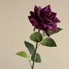 Boda color avanzado retro otoño rosa rosa floral arte flor real mano sentir flor hidratante flor de rosa flor simulación