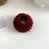 Herramienta para Fijar Cola de Caballo Alta Pinza de Garra para Coleta Nido de Pájaro para Mujeres Clip de Pelo para Moño de Cola de Caballo Baja de Moda Otoño e Invierno