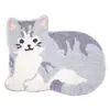 Alfombrillas de Mascota Lindas con Forma Especial de Dibujos Animados para Dormitorio y Sala de Estar Mantas Gruesas para Cama Amigables con la Piel Alfombrillas Absorbentes Antideslizantes para Baño y WC