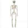 165CM Nueva Calavera Articulada Ajustable Adornos de Terror de Halloween Esqueleto de Cuerpo de Calabaza 40 90cm Esqueleto