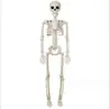 Generación transfronteriza pelo cráneo articulación ajustable Halloween adornos de terror calabaza esqueleto humano 40 90cm esqueleto