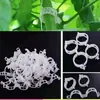 Clips para fijar plantas trepadoras, herramienta para atar verduras, clips para vides, fijadores para verduras y árboles frutales de invernadero, clips colgantes para vides de frutas y plantas verdes