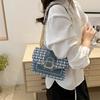 Bolso de mujer con diseño de nicho francés, nuevo bolso bandolera de moda 2024, hermoso bolso cuadrado pequeño, bolso de hombro con cadena coreana.