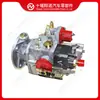 Piezas del motor bomba de combustible 3068708