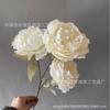 3 flores de peonía salón de bodas camino de entrada ramo de peonías red social disparo fondo suave accesorios