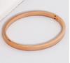 Pulsera de Acero de Titanio, Moderna y Sencilla, No se Desvanece, Pulsera Lisa de Acero Inoxidable para Mujer, Pulsera de Anillo Liso Electrochapada al Vacío