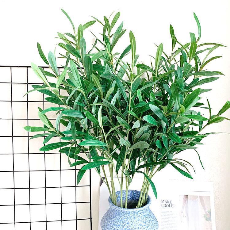 QQ图片20200702123923