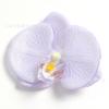 Orquídea Mariposa Artificial Tela de Seda Flores Falsas de Gama Alta Arreglo de Escena Realista Materiales DIY Decoración de Sombrero Ropa