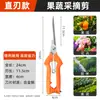 Tesoura para Colheita de Frutas Cpai, Tesoura para Poda de Frutas, Tesoura de Jardinagem, Tesoura para Poda de Flores, Tesoura para Frutas e Legumes, Ferramenta para Colheita de Frutas, Ferramenta de Colheita, Tesoura