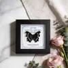 Marco de Vidrio Moderno Sencillo para Espécimenes de Mariposa Sala de Estar Regalo Pintura Decorativa Marco de Espécimen