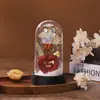 Flor Eterna Transfronteriza Rosa Brillante Día de San Valentín Rosa de Amor Regalo Adorno de Cúpula de Vidrio para el Hogar Diario
