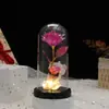 Bucet de Flores Rosas de Colores con Luces, Cubierta de Cristal, Oso de Peluche, Decoración de Flores Artificiales, Luces de Flores Eternas, Flores Preservadas que No se Marchitan