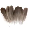 80 Tipos de Penas Naturais de Faisão, Penas Reais, Decorações Nativas Americanas, Acessórios DIY, Acessórios de Cabelo, Peças para Brinquedo de Vara para Gato
