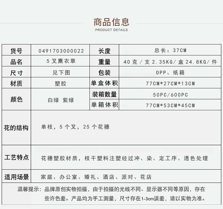 5叉熏衣草