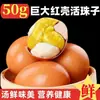 Huevos de Embrión de Pollo Grandes de Cáscara RojaHuevos de Embrión de Pollo Picantes de Cinco Especias, Huevos de Embrión de Pollo Frescos de 13 DíasHuevos Felices Templados al por Mayor