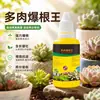 Estimulador de Raíces para Suculentas, Potente Agente de Enraizamiento Rápido, Solución de Enraizamiento para Esquejes, Solución Nutritiva para Flores para Promoción y Fortalecimiento de Raíces, Venta al por Mayor