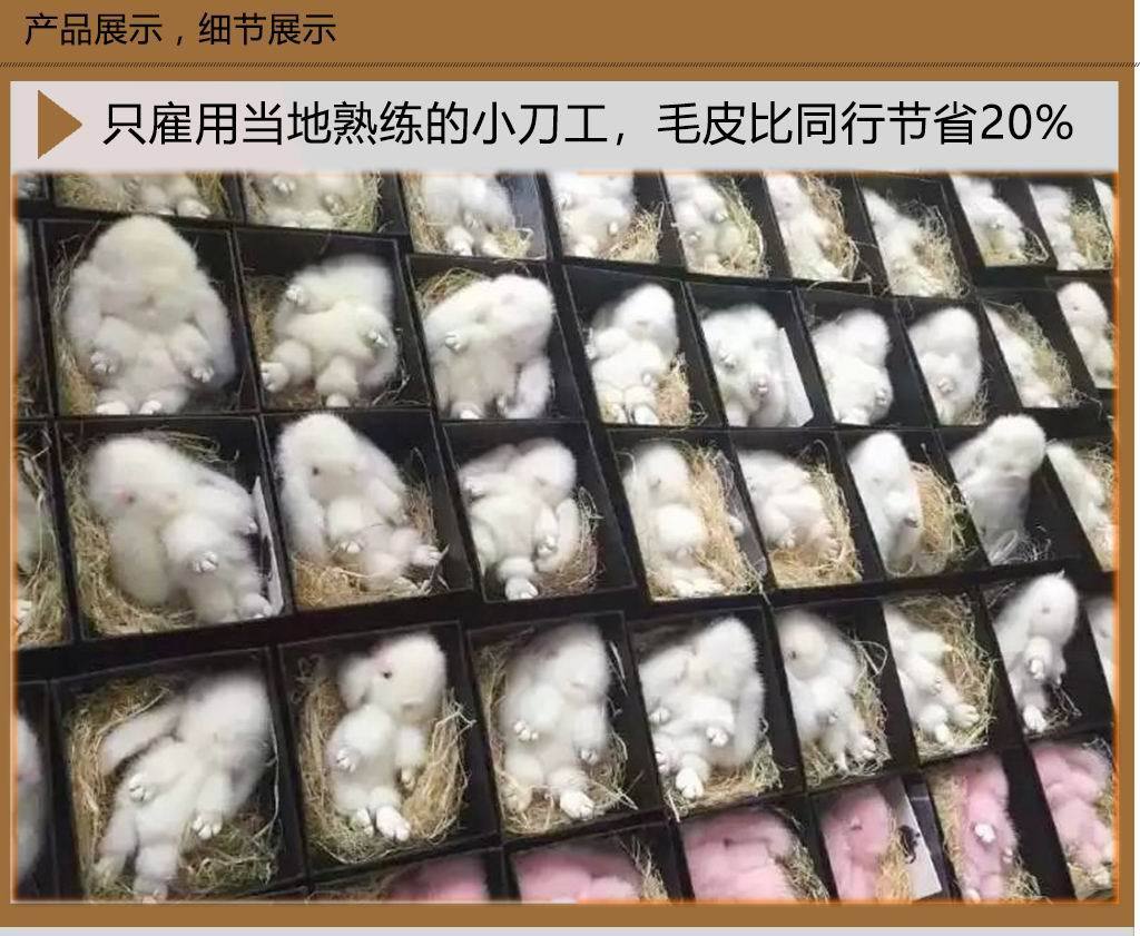 獭兔细节-P04-01.jpg