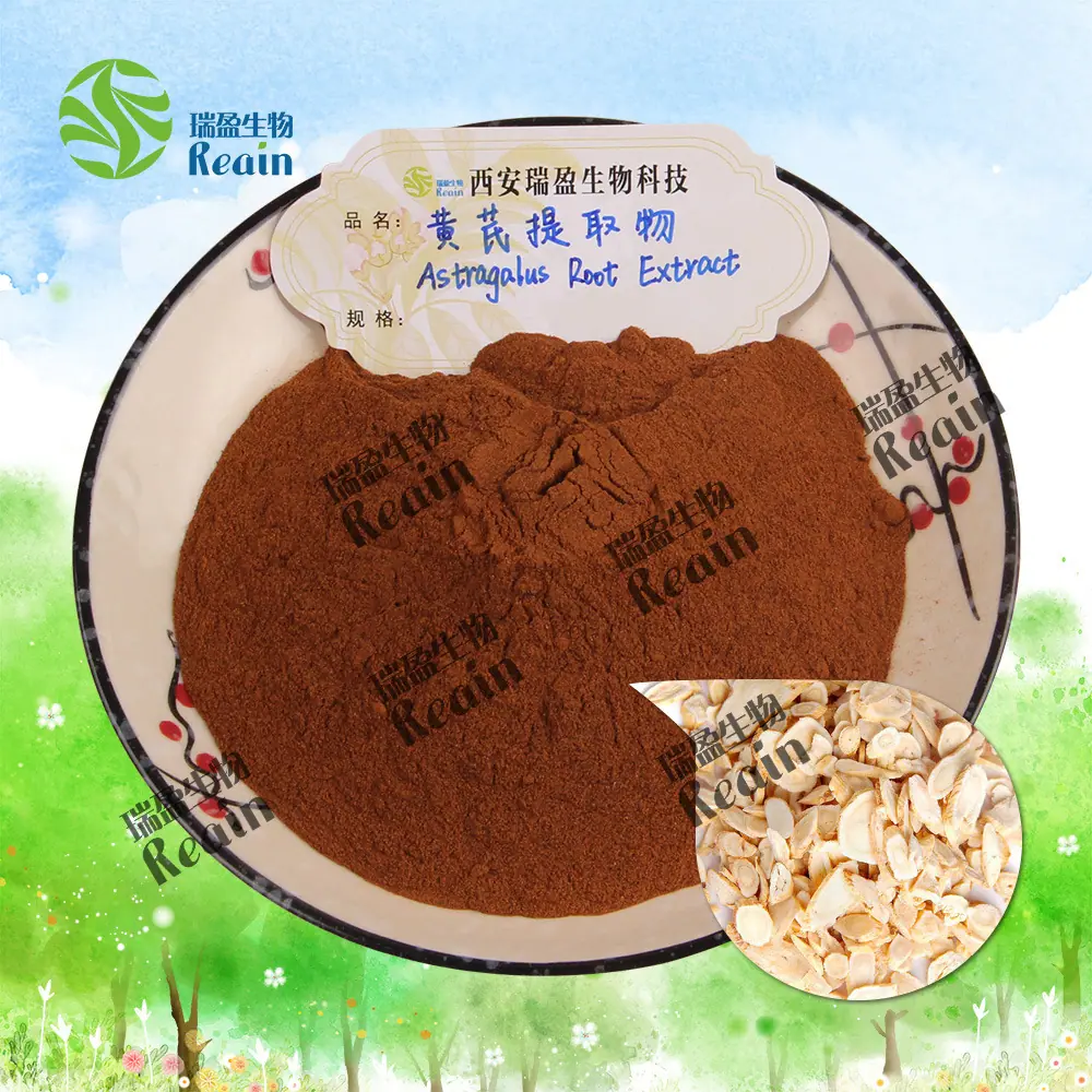 黄芪提取物原料+粉末