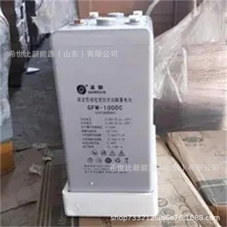 圣阳2V1000AH.webp.jpg