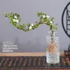 Baoshi Nieve de junio maceta hidropónica bonsái forma de acantilado oficina interior mesa fácil de cuidar plantas de follaje mesa de centro agua