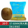 Tienda Oficial Auténtica de Luo Han Guo Especialidad de Guilin Luo Han Guo Yongfu No Silvestre Té Auténtico de Luo Han Guo de Guangxi
