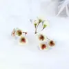Simulación Flor de Cinco Pétalos Cabeza DIY Material Hecho a Mano Flor de Colores Decoración Boda Arreglo de Pared de Flores Accesorios de Flores Artificiales Mayoreo