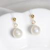 Nuevos pendientes colgantes de perlas de moda, ligeros, de lujo, de alta gama, elegantes, con gancho para la oreja, a la moda, combinables, elegantes y atractivos para mujer.