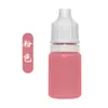 Abanico de Laca DIY al por Mayor Pintura Especial de Laca DIY 5ml Abanico Redondo Grande de Laca Abanico de Laca