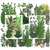 Paquete de 12 hojas verdes combinadas, pegatinas de muestra de hoja real, material de muestra de planta, hojas secas, accesorios de fotografía