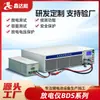 Medidor de Descarga de Batería de Litio Detector de Protección de Voltaje de Descarga de Batería de Coche Probador de Capacidad de Batería de Coche