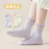Calcetines para niñas para primavera y otoño, calcetines finos de algodón para niños, niños medianos y mayores, niñas de secundaria, calcetines de princesa con encaje, calcetines hasta la mitad de la pantorrilla