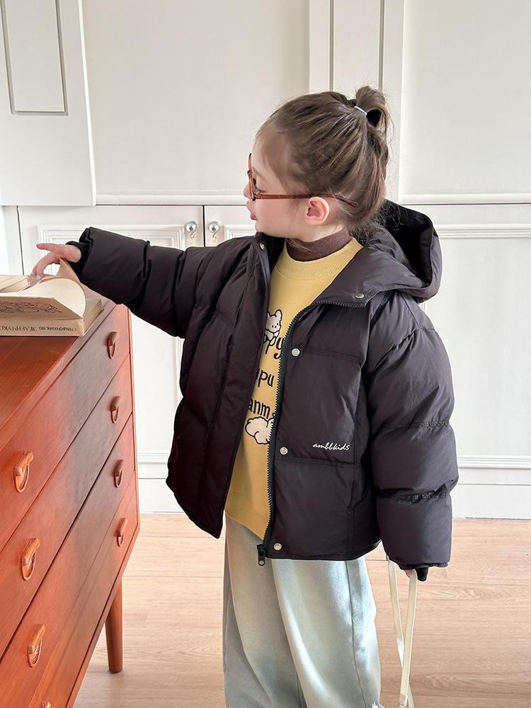 2024-11-08 133325.jpg